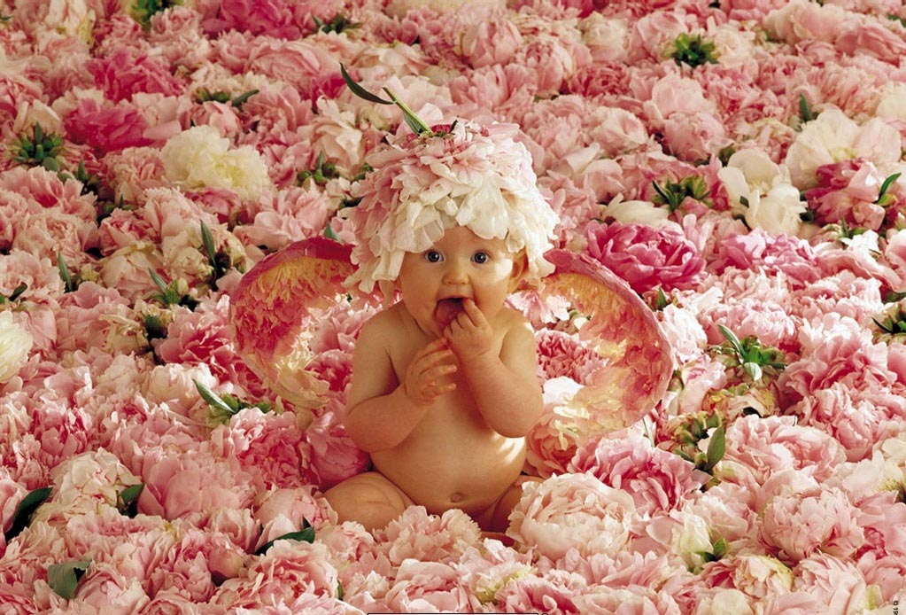 7479flores 7479flores