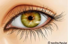 olhos olhos