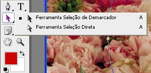 selecao-de-demarcador selecao-de-demarcador