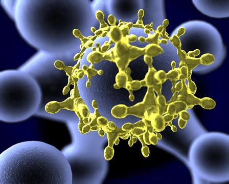 virus2 virus2