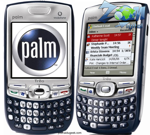palm palm