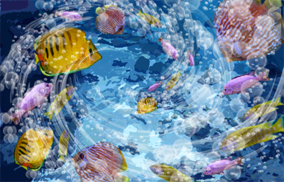Fish Fish