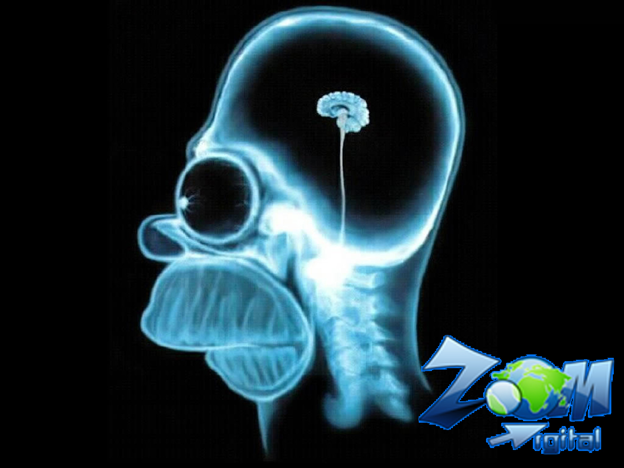carebro homer simpsons carebro homer simpsons