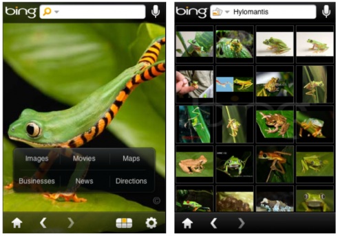 bing-iphone bing-iphone