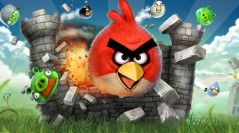 Angry Birds da vida real