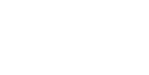 Zoom Digital